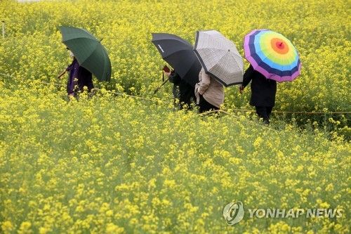'봄비와 함께'
