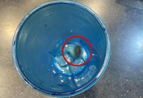 롯데리아 콜라 속의 바퀴벌레