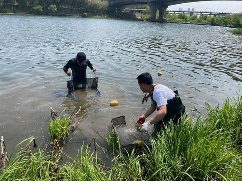 태화강 배스 인공산란장