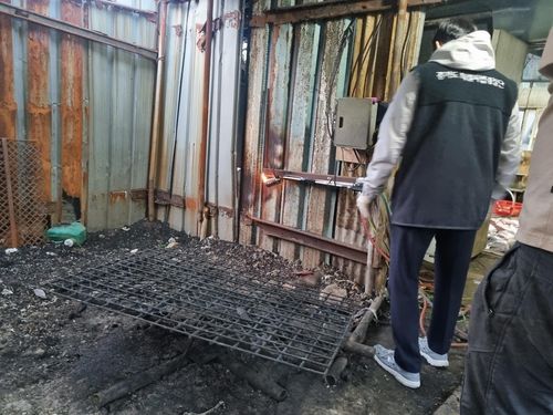 파주시 육견농장 도살 현장