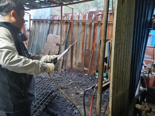 파주시 육견농장 도살 현장