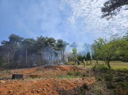 충남 태안 야산서 불