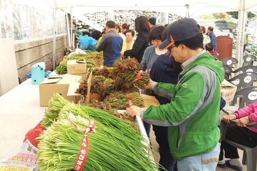 4년 전 환평마을 산나물축제