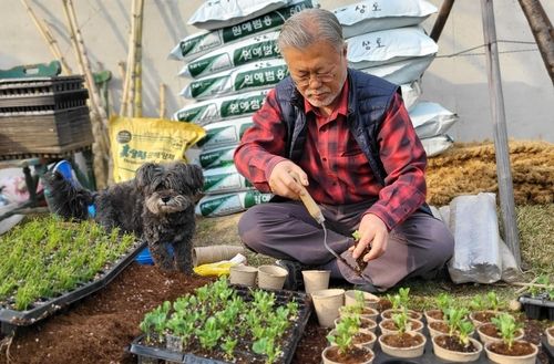 새싹 키우는 문재인 전 대통령