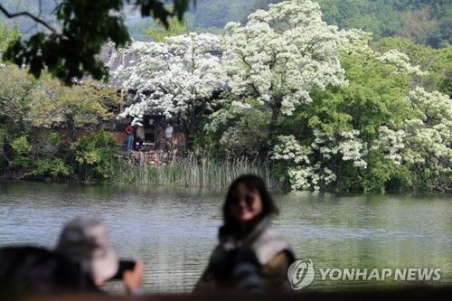 봄날 망중한