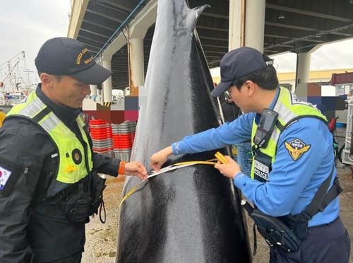 혼획된 고래 확인하는 해경