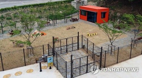 강릉동물사랑센터 반려동물 놀이터