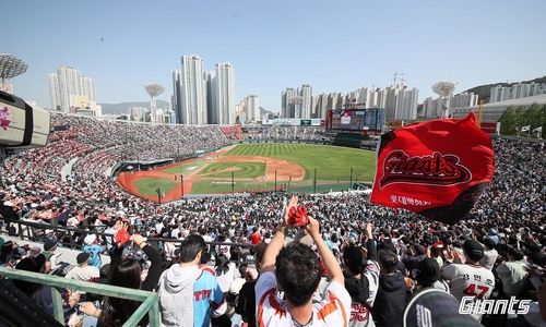 열띤 응원전을 벌이는 롯데 자이언츠 팬들