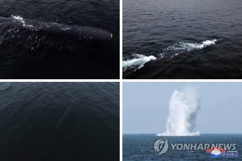 북한, "4∼7일 수중전략무기체계 '해일-2' 시험"
