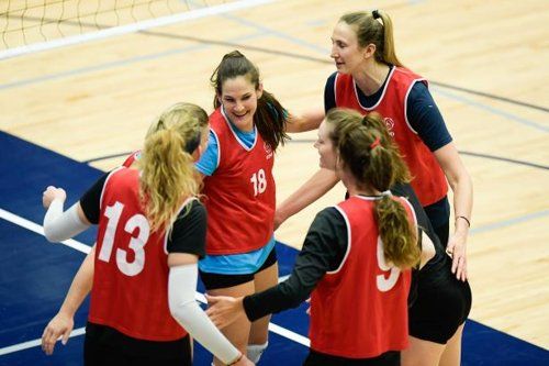 캐나다 토론토에서 진행 중인 프로배구 여자부 트라이아웃 연습경기 모습