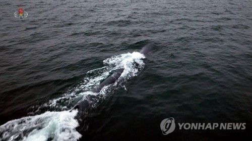 북한, 수중전략무기체계 '해일-2' 시험