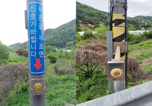 두 개의 보행신호 버튼