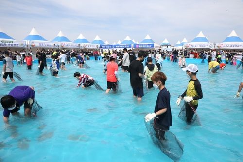 광어 맨손 잡기