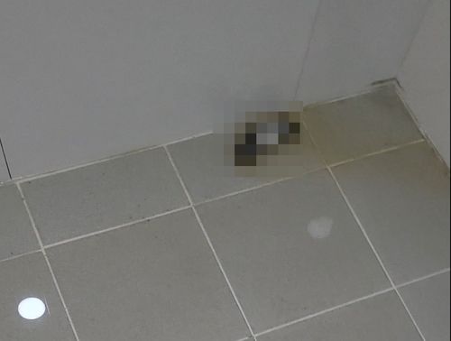 인천 신축아파트 화장실서 발견된 인분 흔적