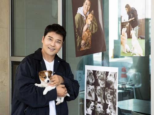 유기견 사진전 '바라보다'