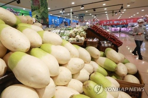 대형마트에 진열된 무