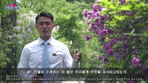 북한 선전매체에 게재된 러시아어판 홍보영상