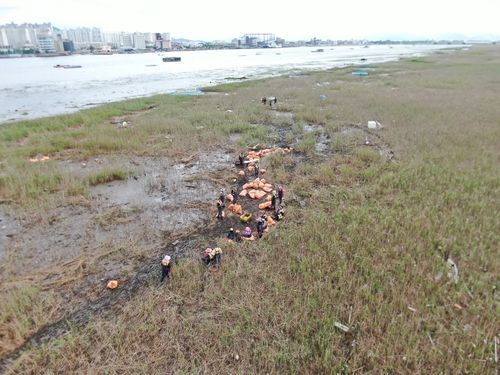 쓰레기 치우는 현장