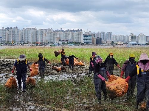 쓰레기 치우는 직원들