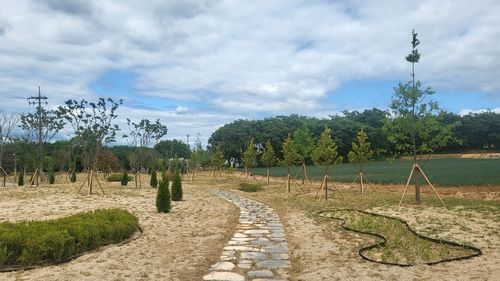 왕궁 학호마을 축산단지, 힐링숲 공원 