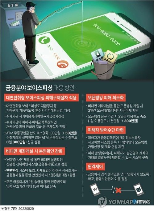 [그래픽] 금융분야 보이스피싱 대응 방안