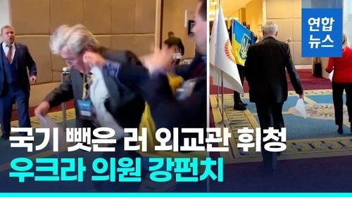 [영상] 우크라 의원, 국기 뺏아간 러시아 외교관에 주먹질 - 2