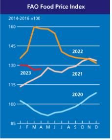 연도별 식량가격지수