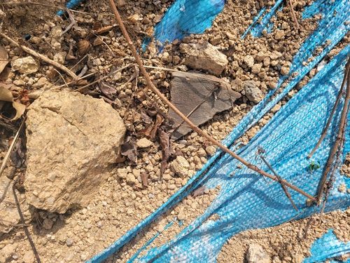 '신영동 유적' 인근에서 발견된 유물 