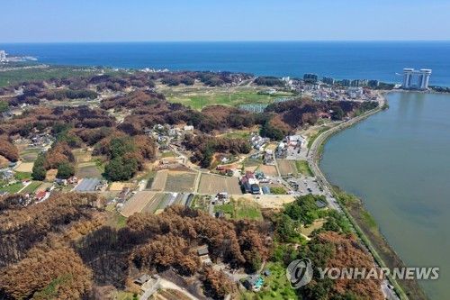 더욱 짙어진 강릉 산불의 흔적