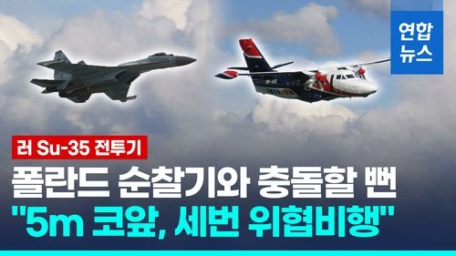 [영상] 이번엔 폴란드 순찰기 접근 러 Su-35…"5m 코앞, 세번 위협비행" - 2