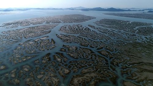 다큐멘터리 '수라' 속 한 장면