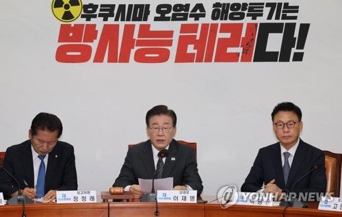 발언하는 이재명 대표