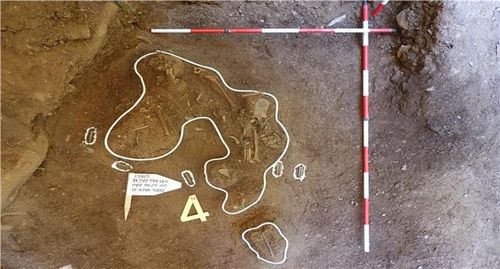 현장에서 발견된 부분유해