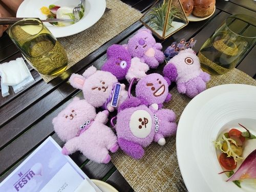 일본인 아미들이 소장한 BTS 인형