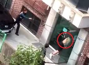 테이저건 발사하는 경찰관