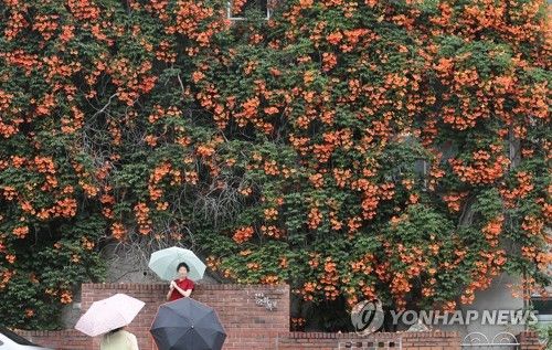 '화사하게 흐린 날'