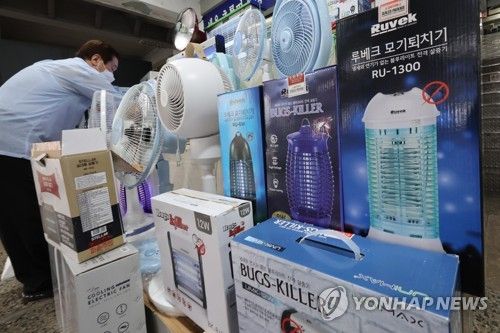 지난해 러브버그 출몰에 수요 급증한 방충용품