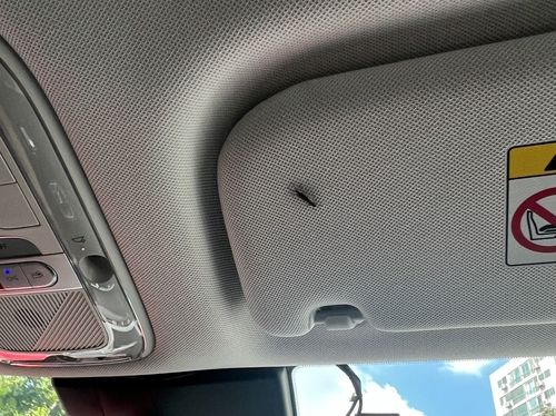 차량 안에 들어온 러브버그