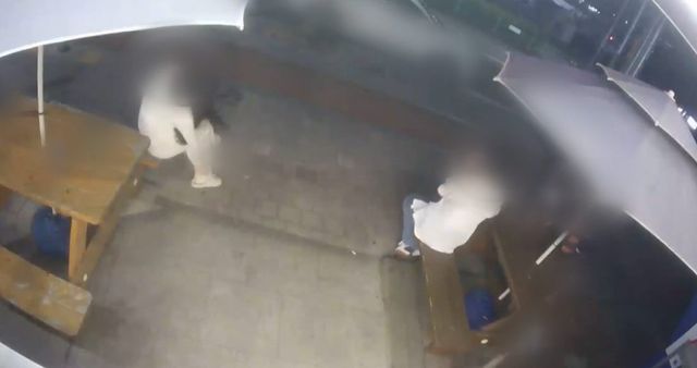 12층에서 고양이 두 마리 떨어져 즉사