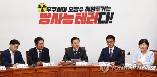 발언하는 이재명 대표