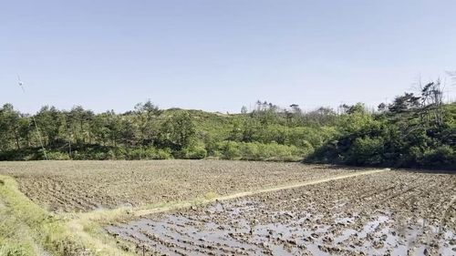 아무런 개발도 이뤄지지 않은 사업 부지