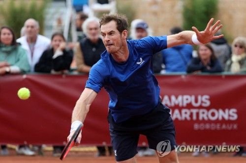 영국 테니스 스타 머리