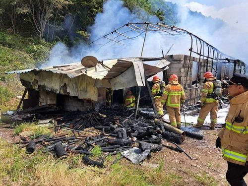 강아지 구출 나선 소방대원들