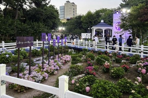 고래문화마을에 조성된 수국 정원