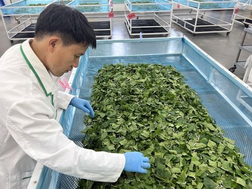 농진청 국립농업과학원 누에 잠실