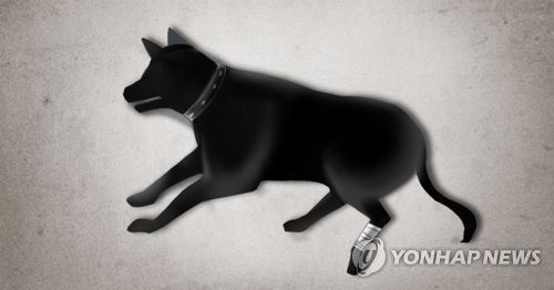 유기견·개 동물학대 (PG)