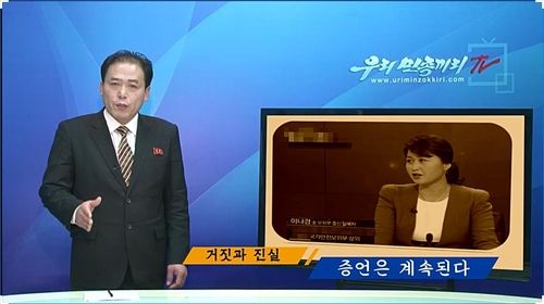 이나경 대표 비난하는 북한 선전매체