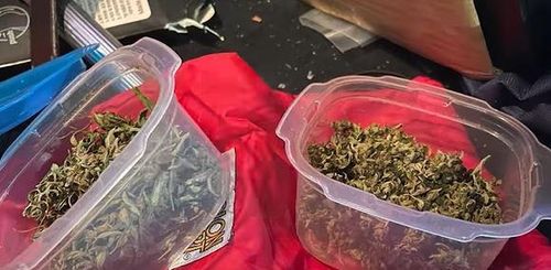 경찰이 압수한 대마