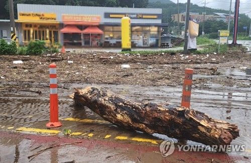 비 피해 문경시 도로상황은