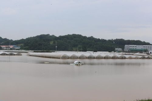 폭우로 침수된 비닐하우스